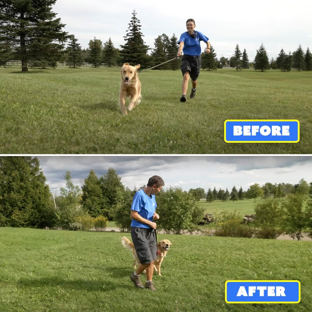 LumeShark Bark Control Device – Rechargeable